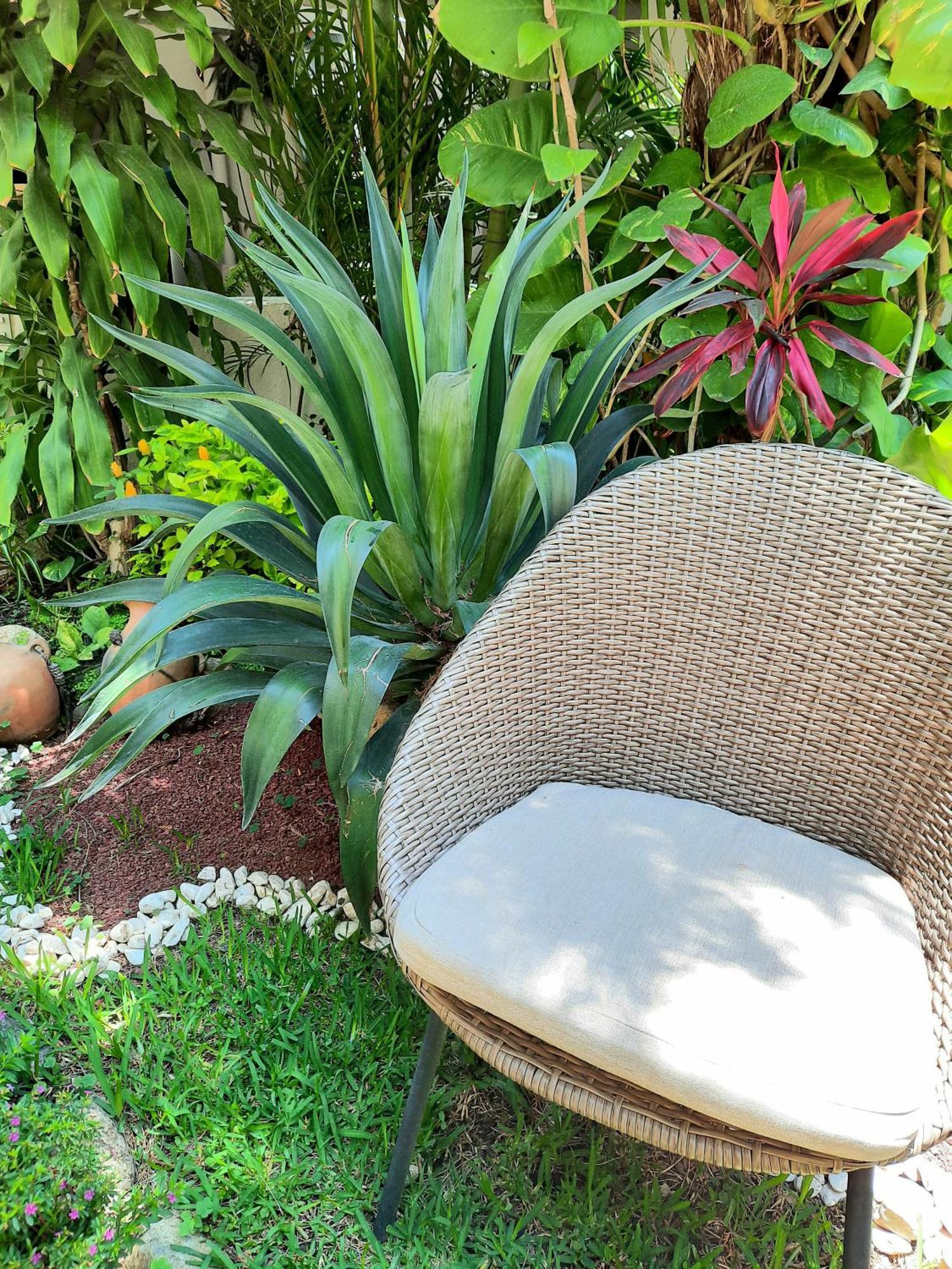 Oaxaca Casa Los Cantaros Hotel Boutique מראה חיצוני תמונה