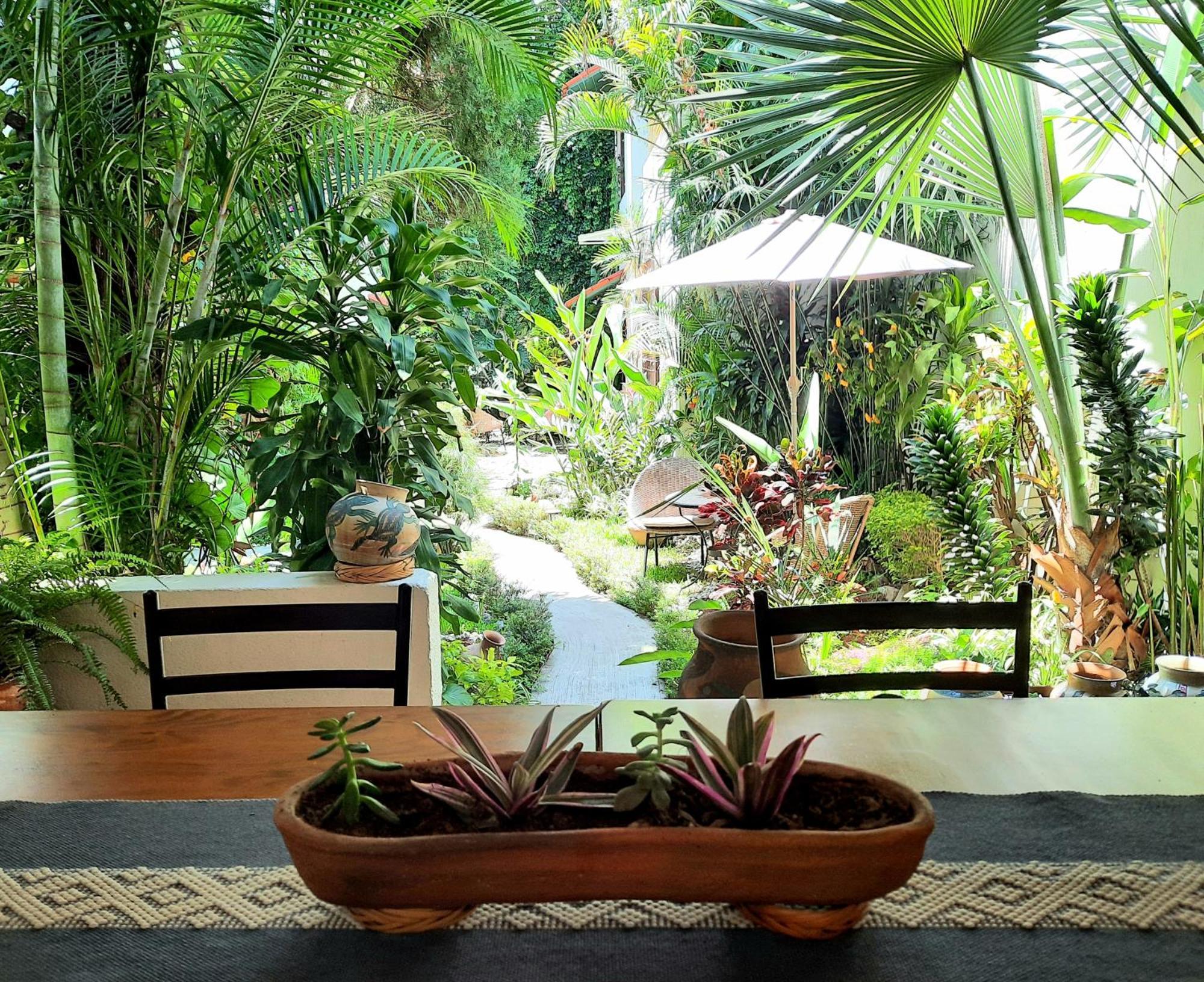Oaxaca Casa Los Cantaros Hotel Boutique מראה חיצוני תמונה